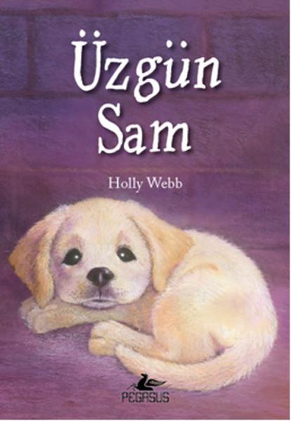 Üzgün Sam | Pegasus (İnce Kapak) - Resim 1