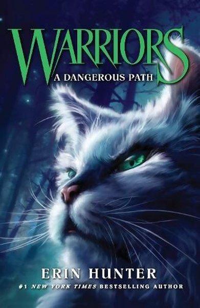 Dangerous Path (Warriors) | Agenor Publishing (İnce Kapak) - Resim 1