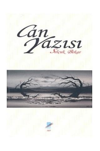 Can Yazısı | Art Basın Yayın Hizmetleri (Ciltsiz) - Resim 1