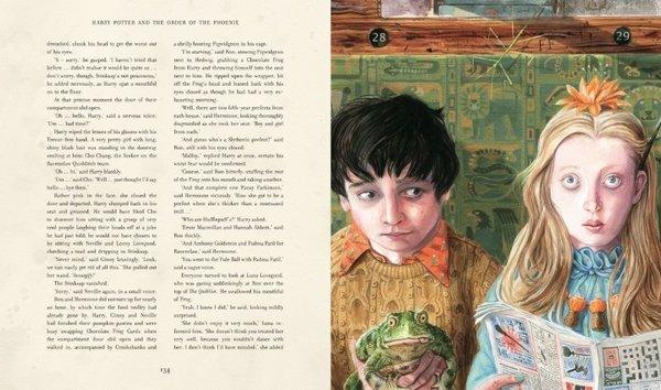 Harry Potter and the Order of the Phoenix | Apple Ridge Fine Arts - Resim 4