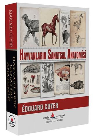 Hayvanların Sanatsal Anatomisi | Katip Yayınları (Ciltsiz) - Resim 1