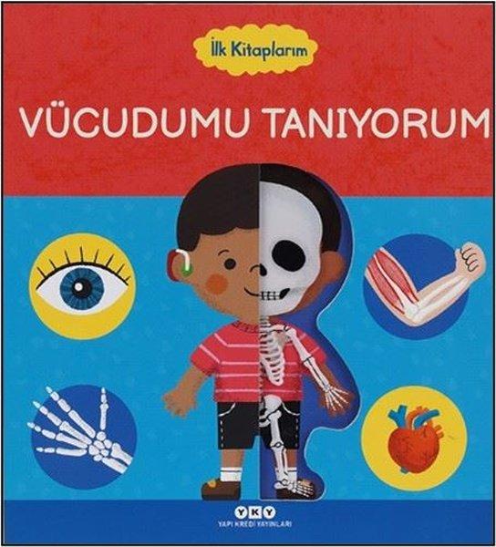 Vücudumu Tanıyorum - İlk Kitaplarım | Yapı Kredi Yayınları (Ciltli) - Resim 1
