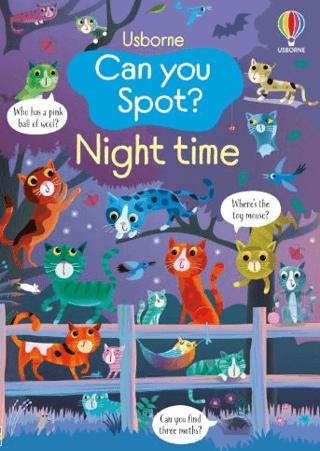 Can You Spot? Night Time | Usborne (Ciltsiz) - Resim 1
