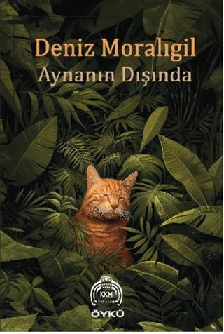 Aynanın Dışında