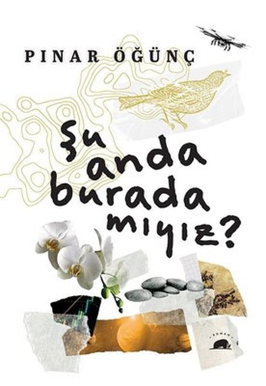 Şu Anda Burada mıyız? | Kolektif Kitap (İnce Kapak)