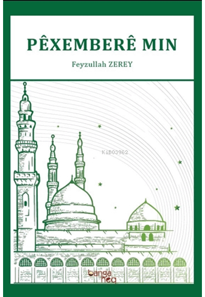 Pexembere Mın - Feyzullah Zerey kitap kapağı