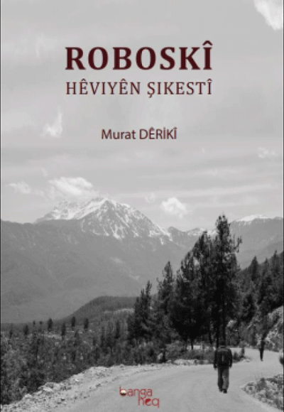 Roboskî;Heviyen Şıkesti Banga Haq - Komisyon kitap kapağı