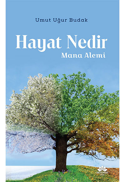 Hayat Nedir Mana Alemi - Kolektif kitap kapağı