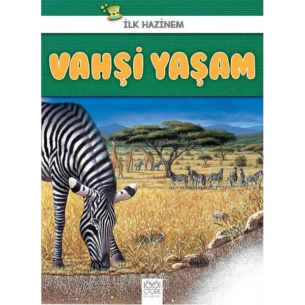 Vahşi Yaşam - İlk Hazinem
