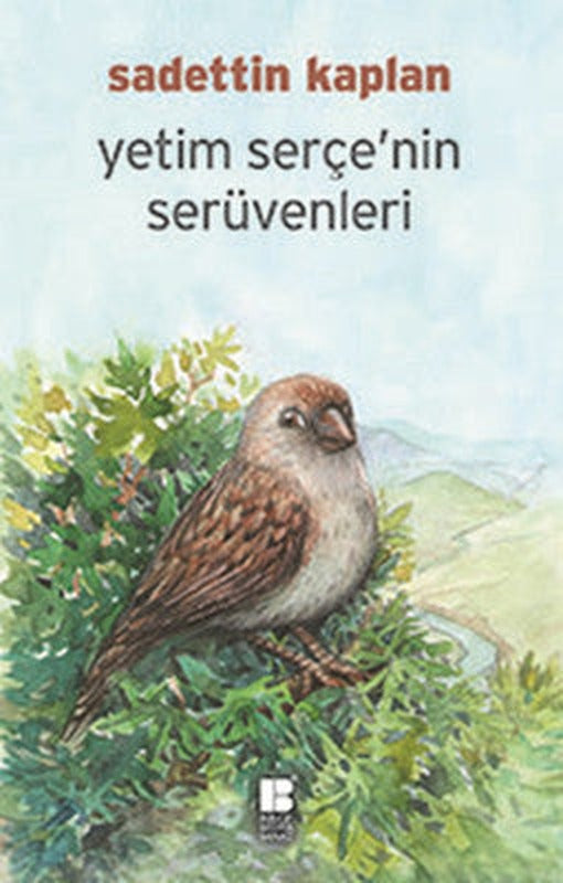 Yetim Serçe'nin Serüvenleri | Bilge Kültür Sanat