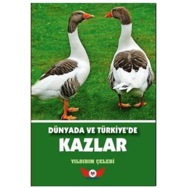 Dünyada ve Türkiye'de Kazlar