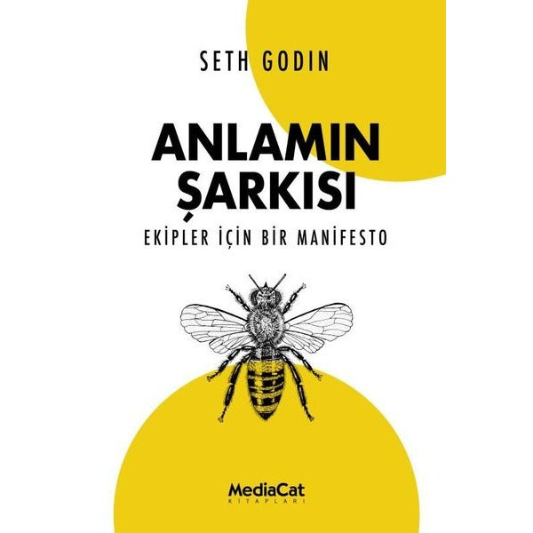 Anlamın Şarkısı - Ekipler İçin Bir Manifesto | MediaCat Yayıncılık