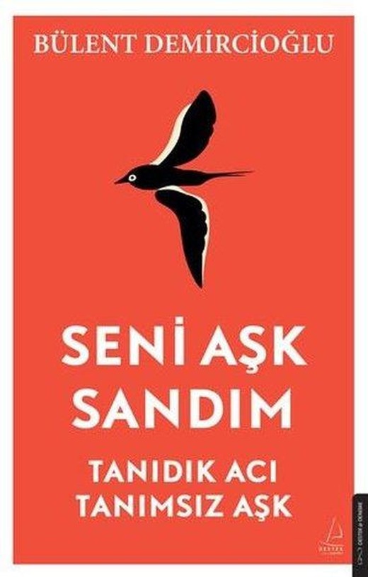 Seni Aşk Sandım - Tanıdık Acı Tanımsız Aşk | Destek Yayınları (İnce Kapak)