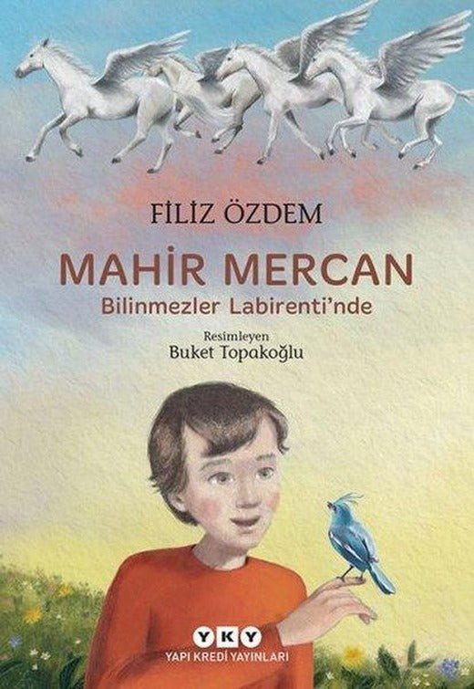 Mahir Mercan - Bilinmezler Labirenti'nde | Yapı Kredi Yayınları (İnce Kapak)