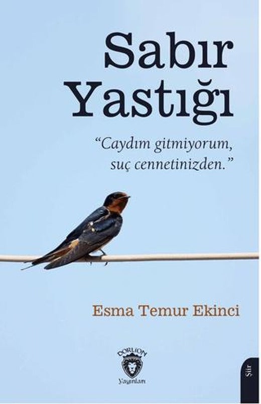 Sabır Yastığı | Dorlion Yayınları (Ciltsiz)