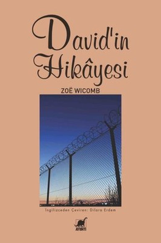 David'in Hikayesi | Ayrıntı Yayınları