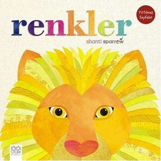 Renkler | 1001 Çiçek
