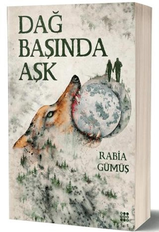Dağ Başında Aşk