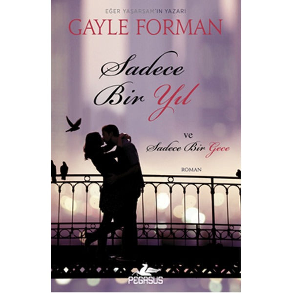 Sadece Bir Yıl ve Sadece Bir Gece | Pegasus (İnce Kapak)