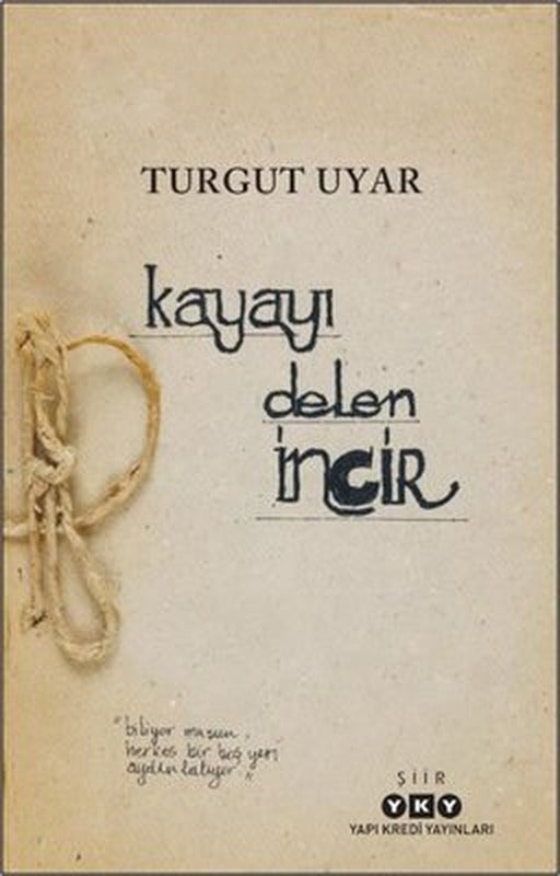 Kayayı Delen İncir | Yapı Kredi Yayınları