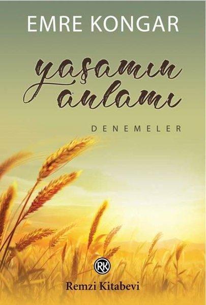 Yaşamın Anlamı | Remzi Kitabevi - Günümüz Türk Yazarları Dizisi (İnce Kapak) - Resim 1