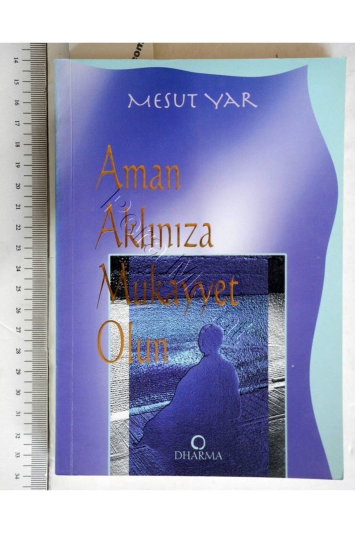 Aman Aklınıza Mukayyet Olun Mesut Yar - Mesut Yar kitap kapağı
