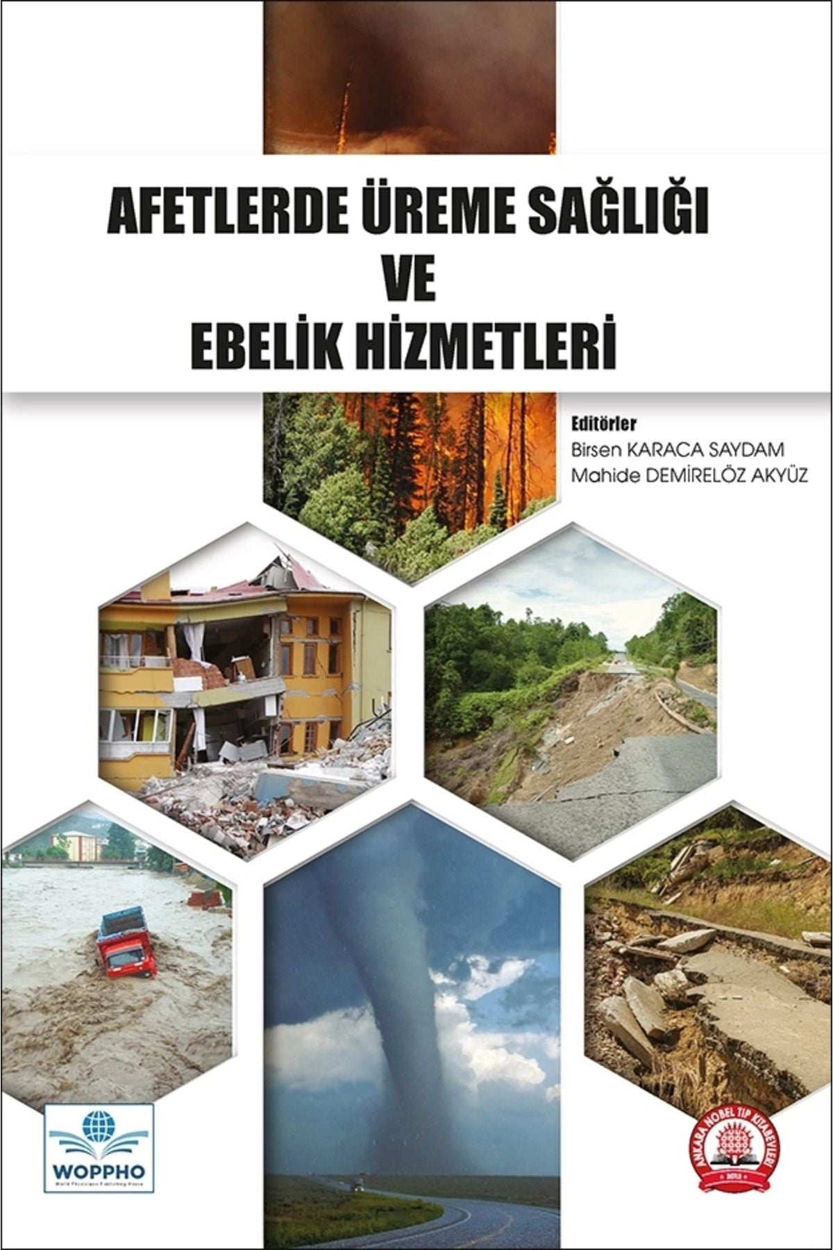 Afetlerde Üreme Sağlığı Ve Ebelik Hizmetleri kitap kapağı