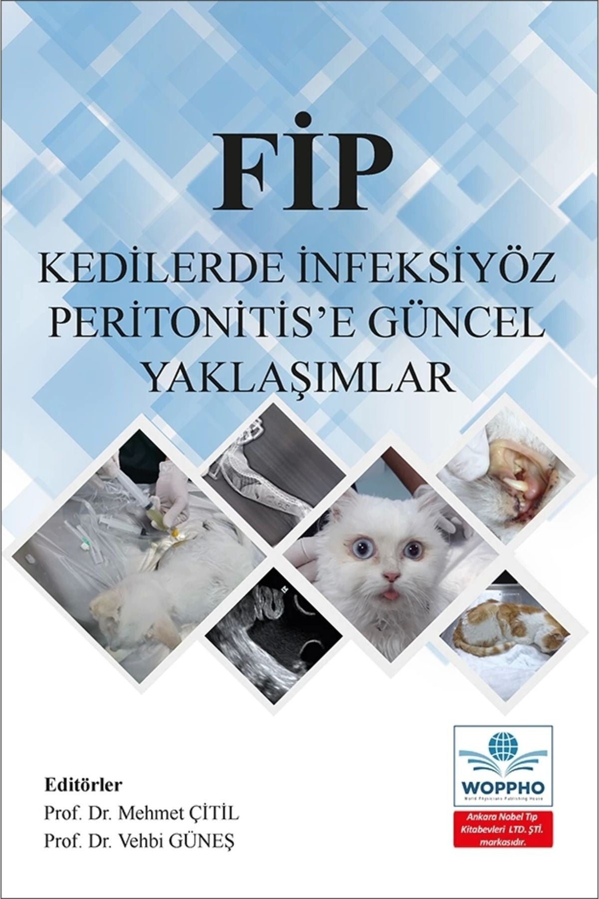Fip Kedilerde İnfeksiyöz Peritonitis’E Güncel Yaklaşımlar kitap kapağı
