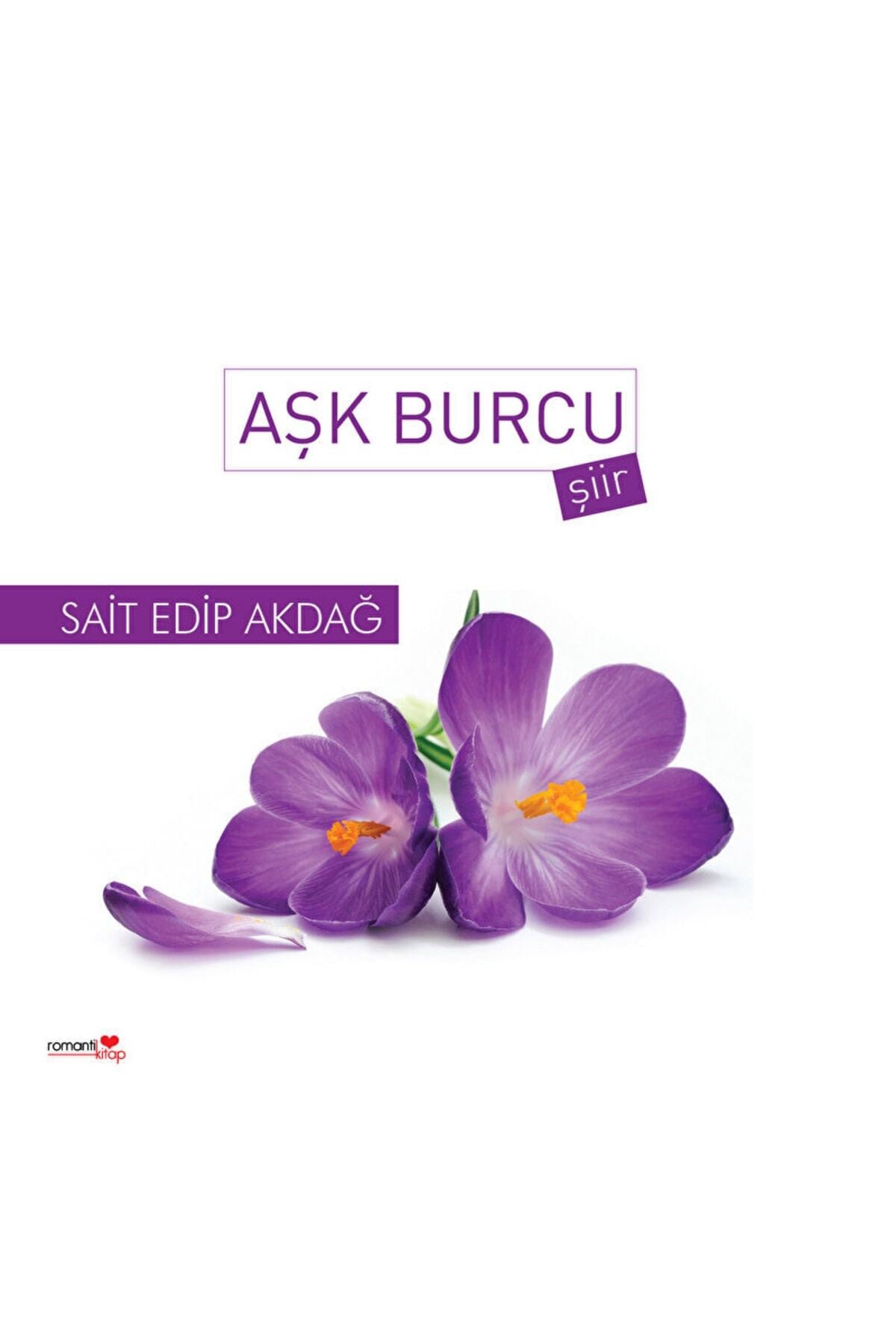 Aşk Burcu - Sait Edip Akdağ kitap kapağı