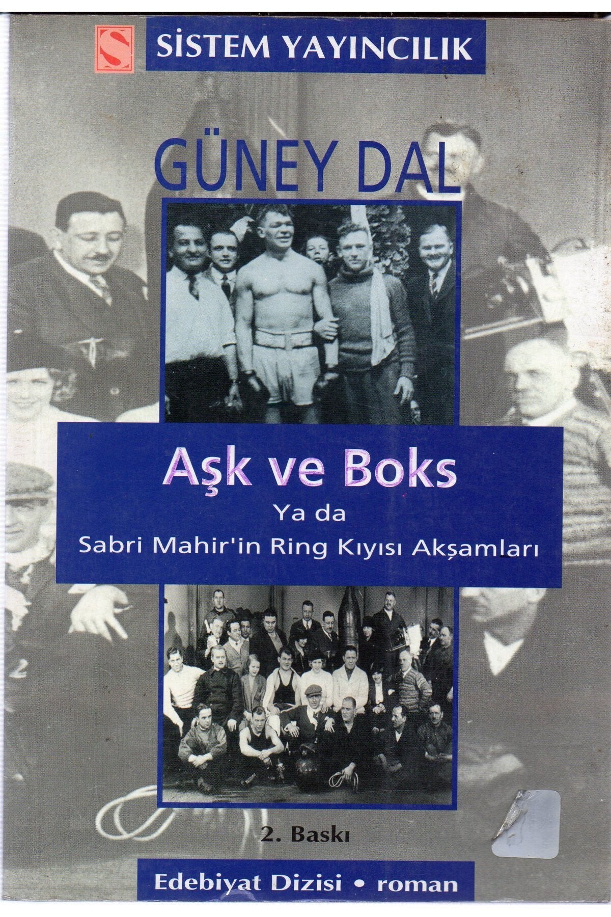 Aşk Ve Boks Ya Da Sabri Mahir'İn Ring Kıyısı Akşamları / Güney Dal - Güney Dal kitap kapağı