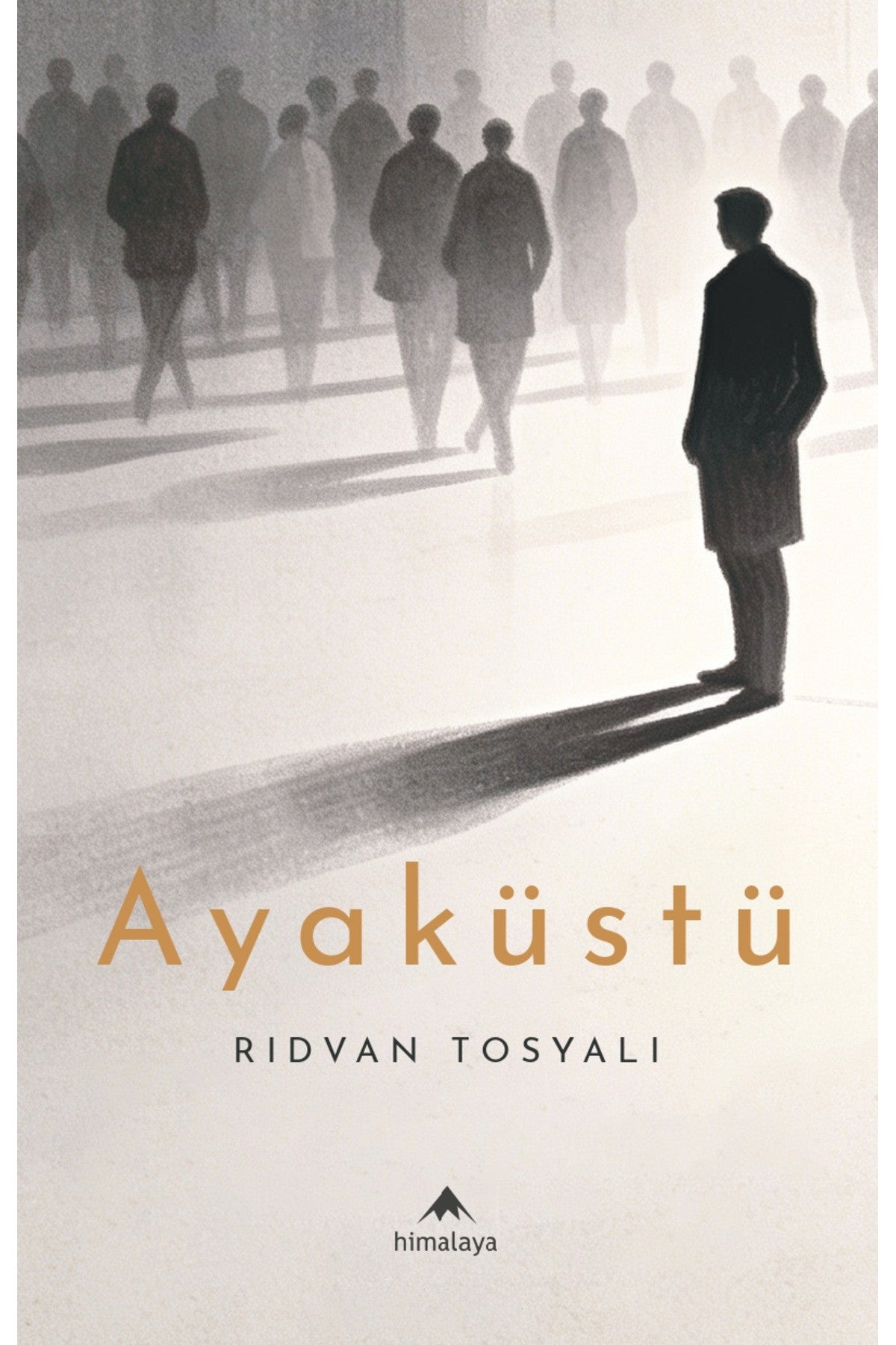 Ayaküstü kitap kapağı