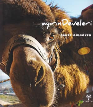 Ayırın Develeri - GÜLSÖKEN, SANER (Editör) kitap kapağı