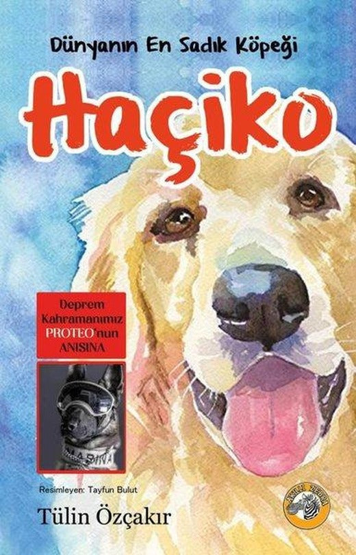 Haçiko - Dünyanın En Sadık Köpeği | Akıllı Zebra (İnce Kapak)