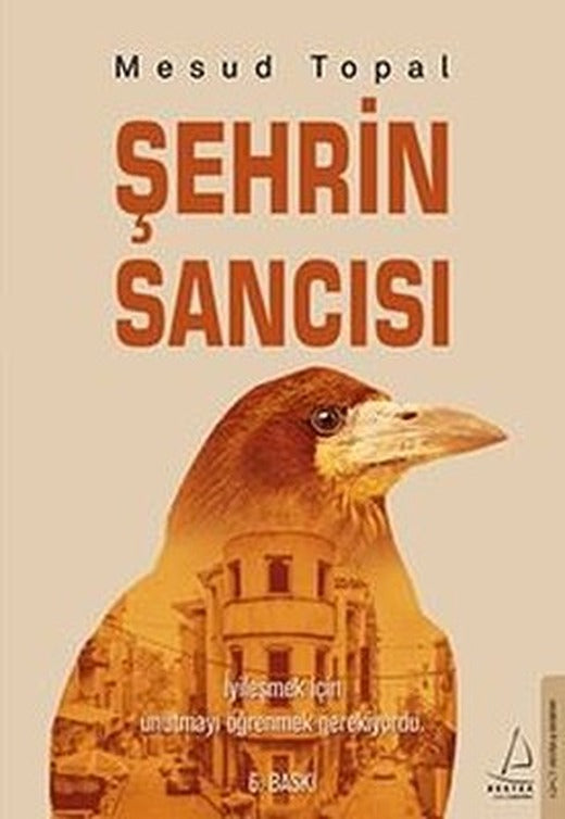 Şehrin Sancısı | Destek Yayınları