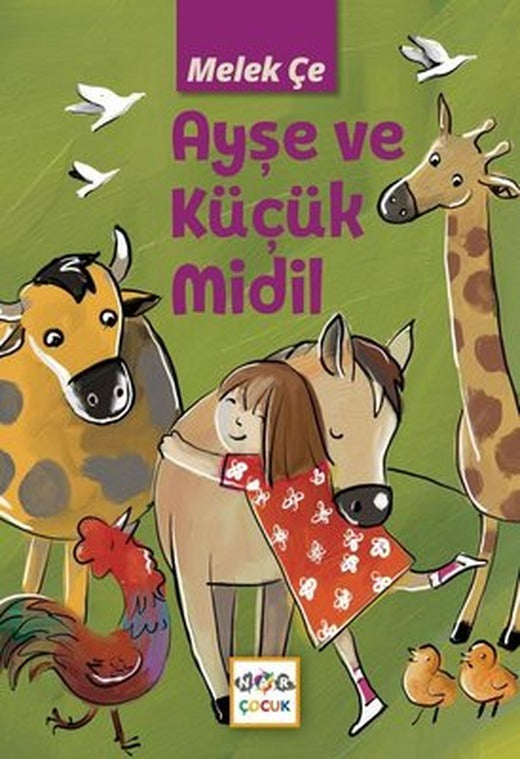 Ayşe ve Küçük Midil | Nar Çocuk (İnce Kapak)