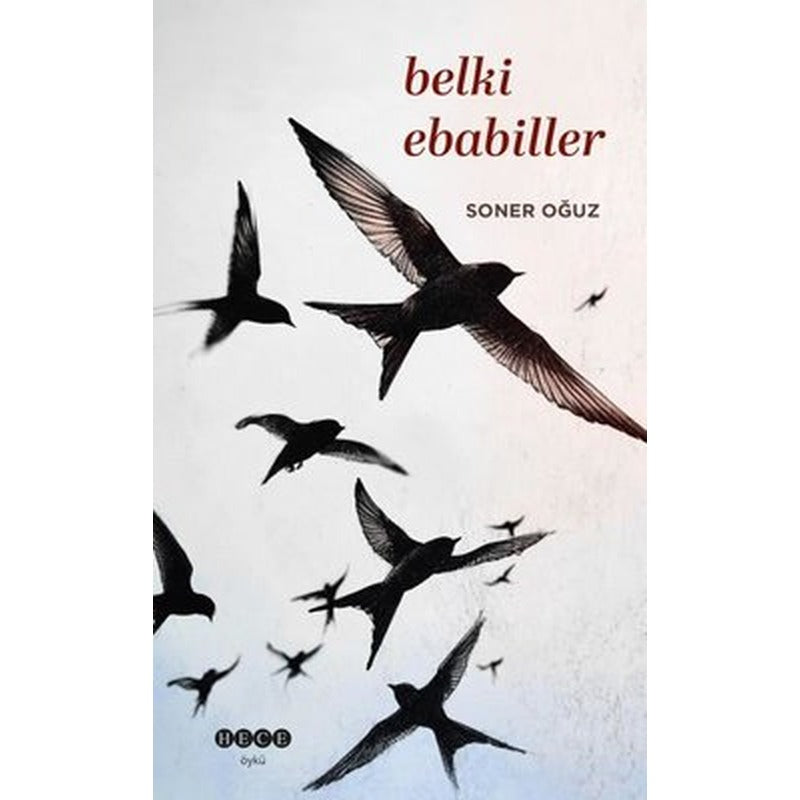 Belki Ebabiller | Hece Yayınları (İnce Kapak )