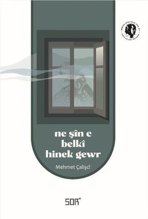 Ne Şin e Belki Hinek Gewr | Sor Kitap (İnce Kapak)