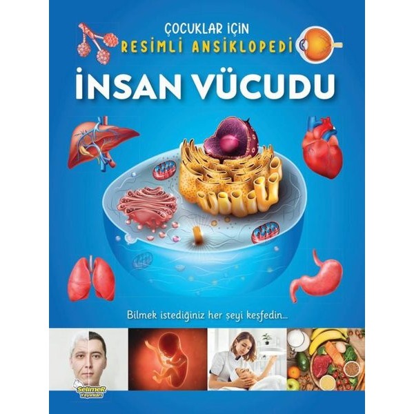 İnsan Vücudu - Çocuklar İçin Resimli Ansiklopedi | Selimer (İnce Kapak)