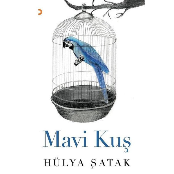 Mavi Kuş
