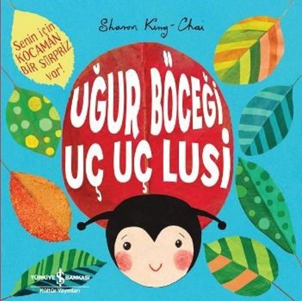 Uğur Böceği Uç Uç Lusi | İş Bankası Kültür Yayınları
