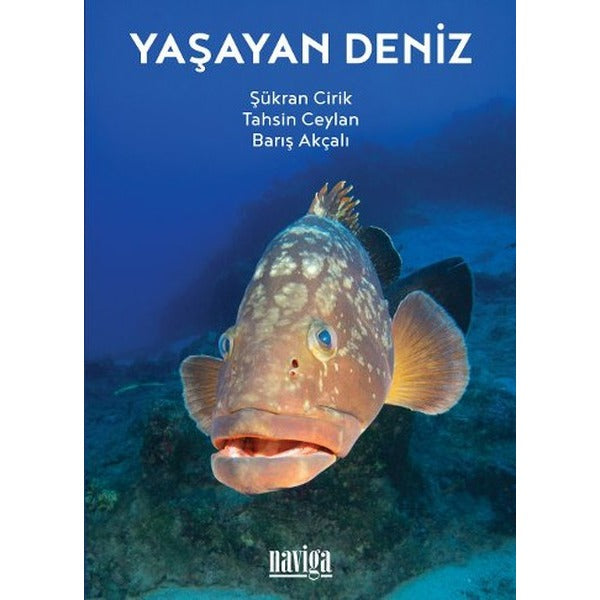 Yaşayan Deniz | Naviga (İnce Kapak)
