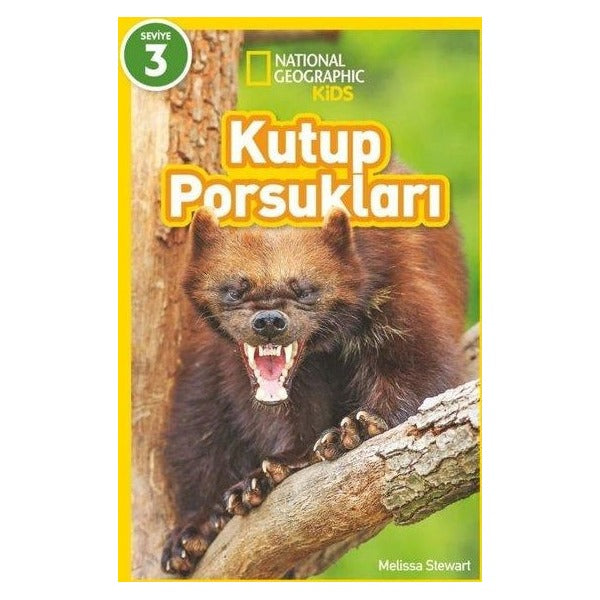 Kutup Porsukları - National Geographic Kids - Seviye 3 | Beta Kids (İnce Kapak)
