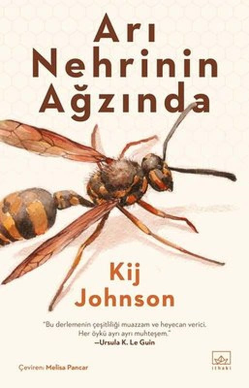 Arı Nehrinin Ağzında | İthaki Yayınları