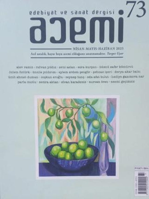 Acemi Edebiyat ve Sanat Dergisi Sayı 73 | Acemi Dergisi (Ciltsiz)
