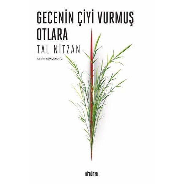Gecenin Çiyi Vurmuş Otlara
