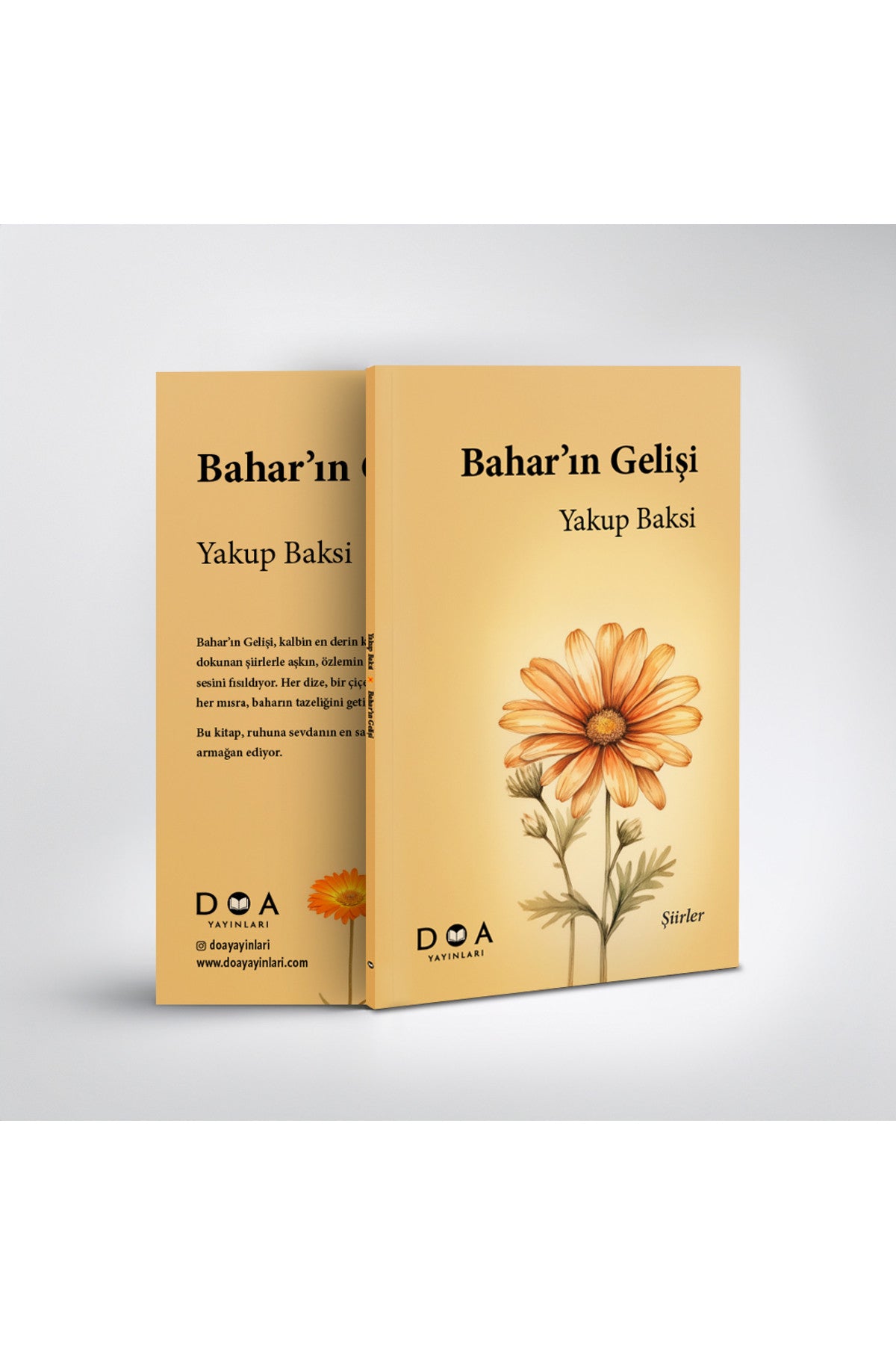 Bahar'ın Gelişi kitap kapağı