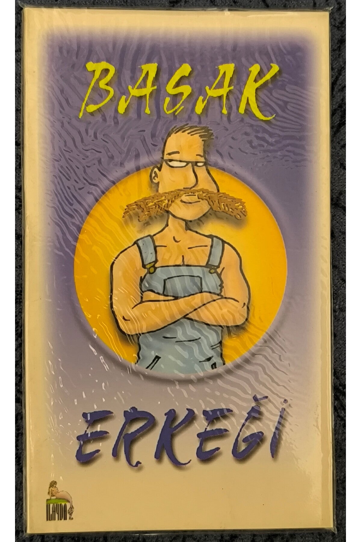 Başak Erkeği (Cep Boy) kitap kapağı
