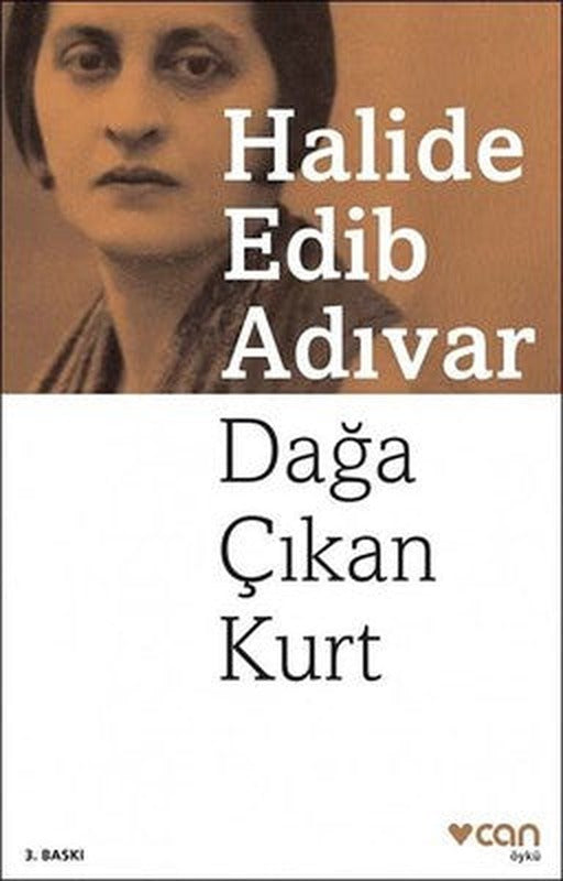 Dağa Çıkan Kurt | Can Yayınları