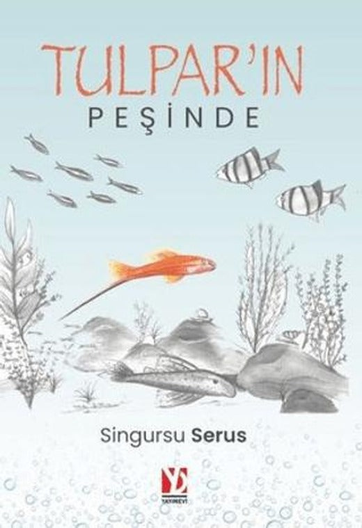 Tulpar'ın Peşinde