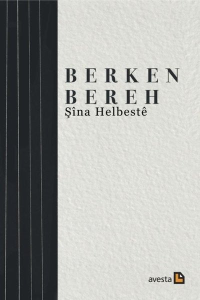 Berken Bereh Berhemen Gişti-5 - Berken Bereh kitap kapağı